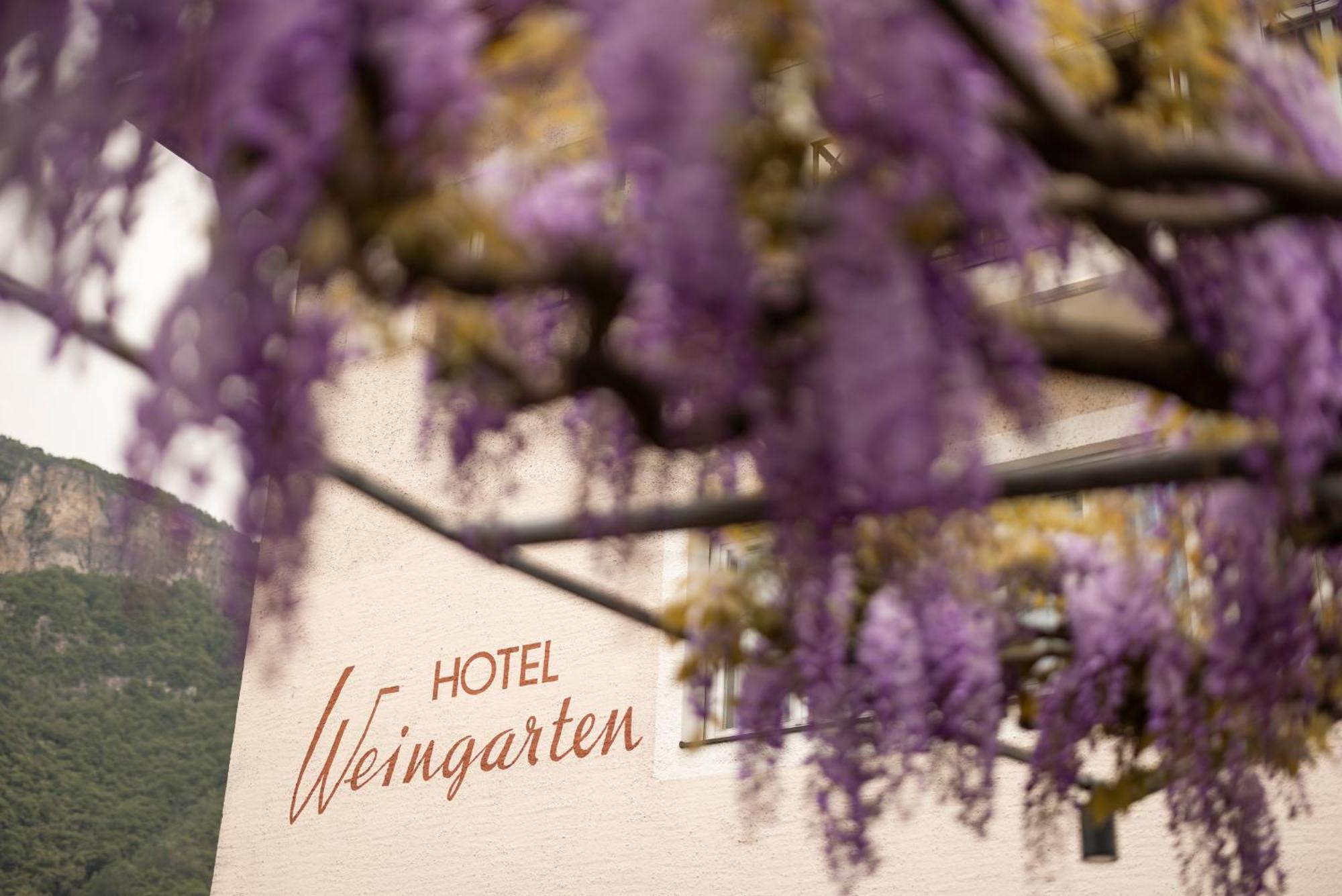 Weingarten Terlan - Rooms & Breakfast Exteriör bild